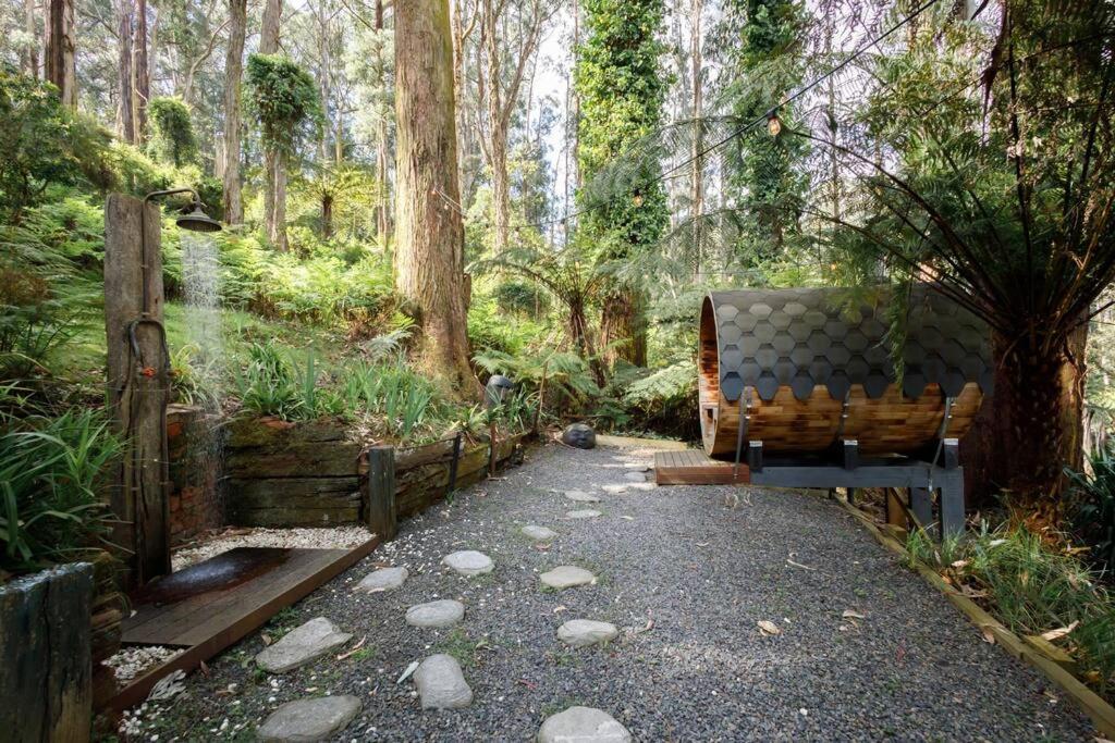 Forest Retreat