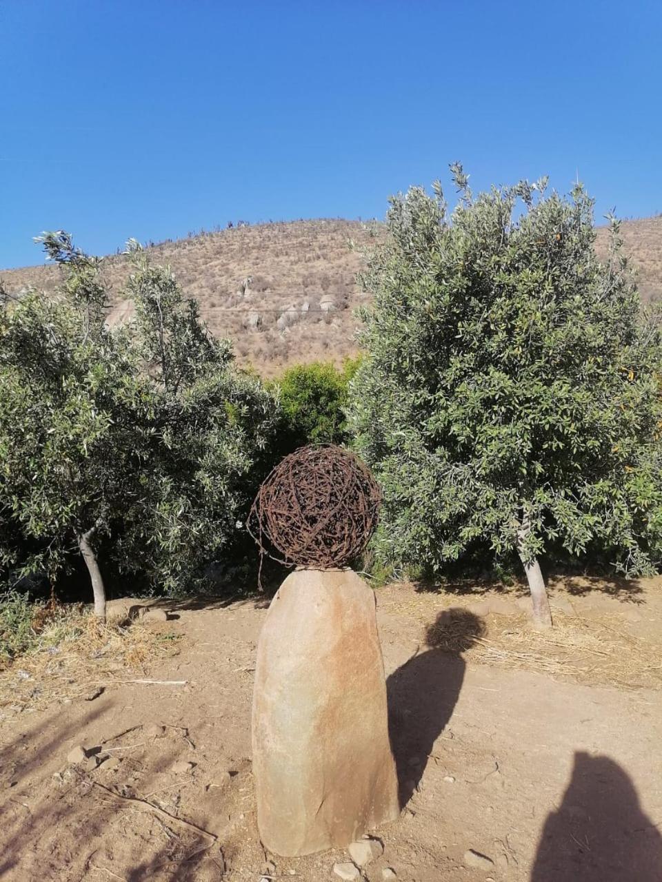 Hostal Los Almendros