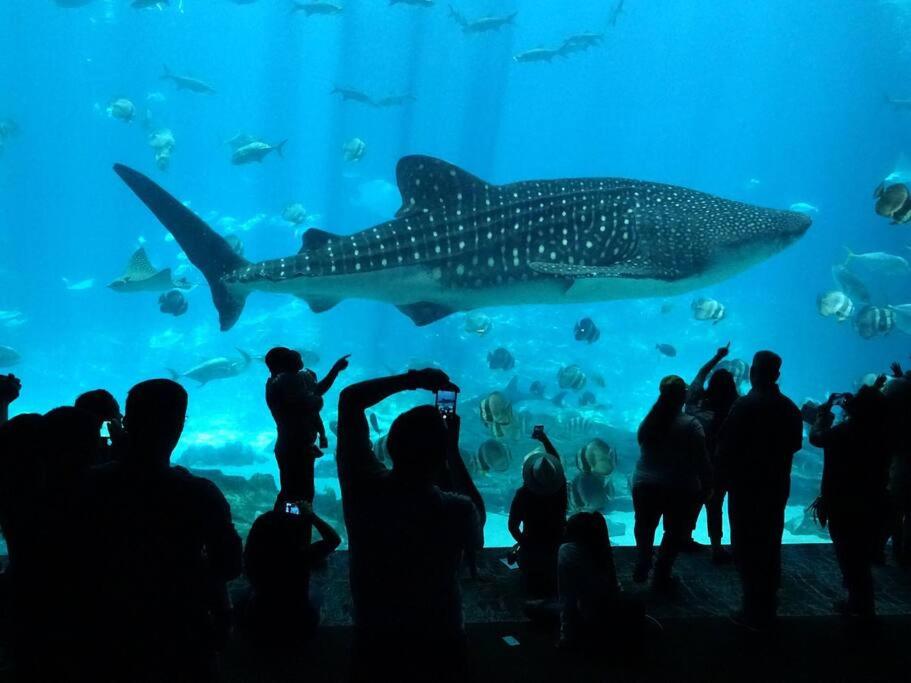 other