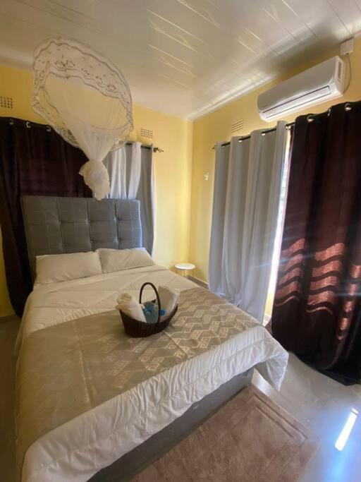 Natulu Apartment Livingstone