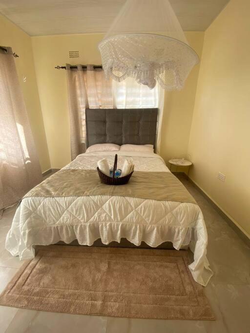 Natulu Apartment Livingstone