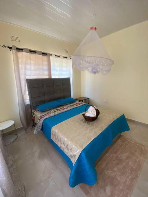 Natulu Apartment Livingstone