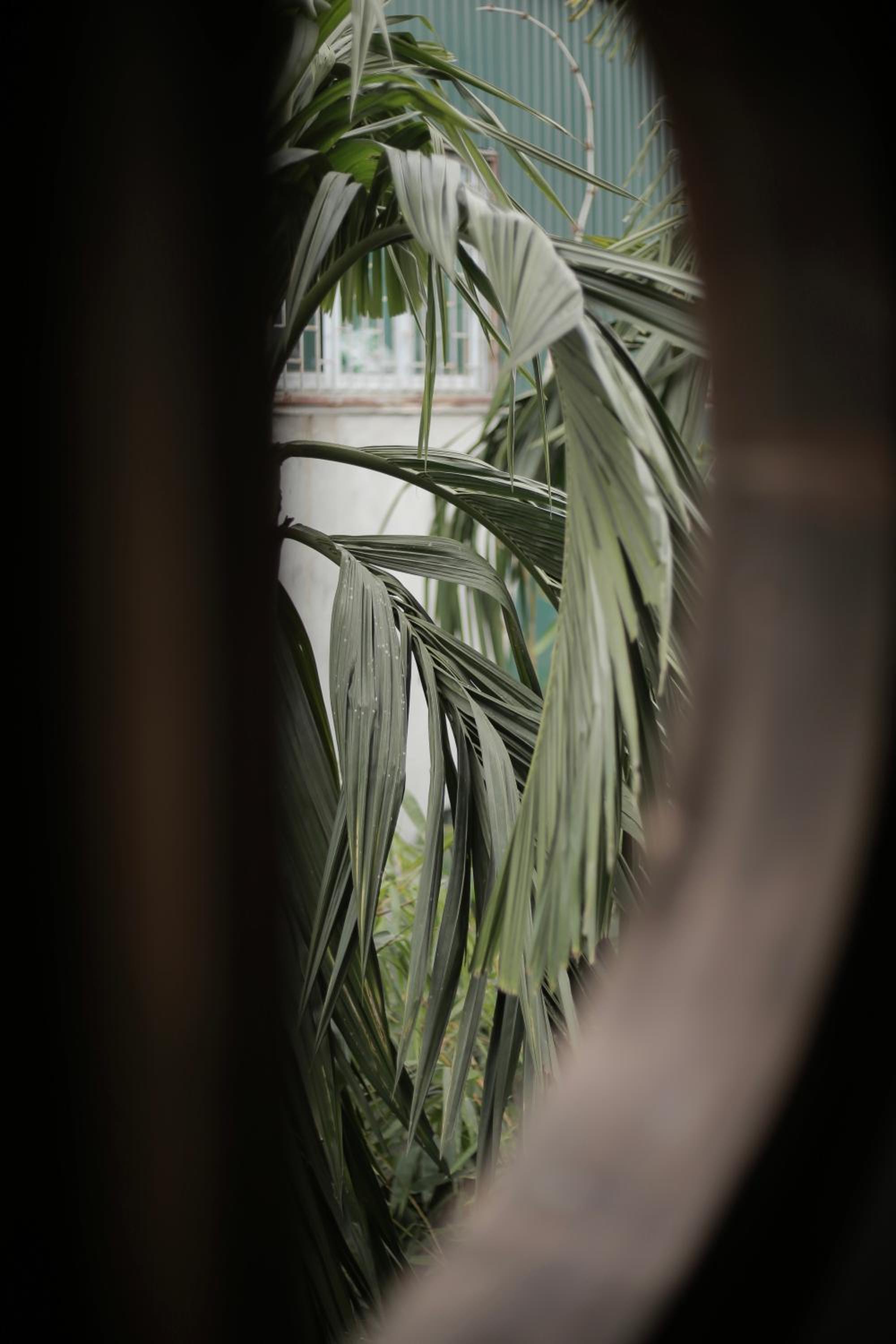 Hidden gem homestay 2