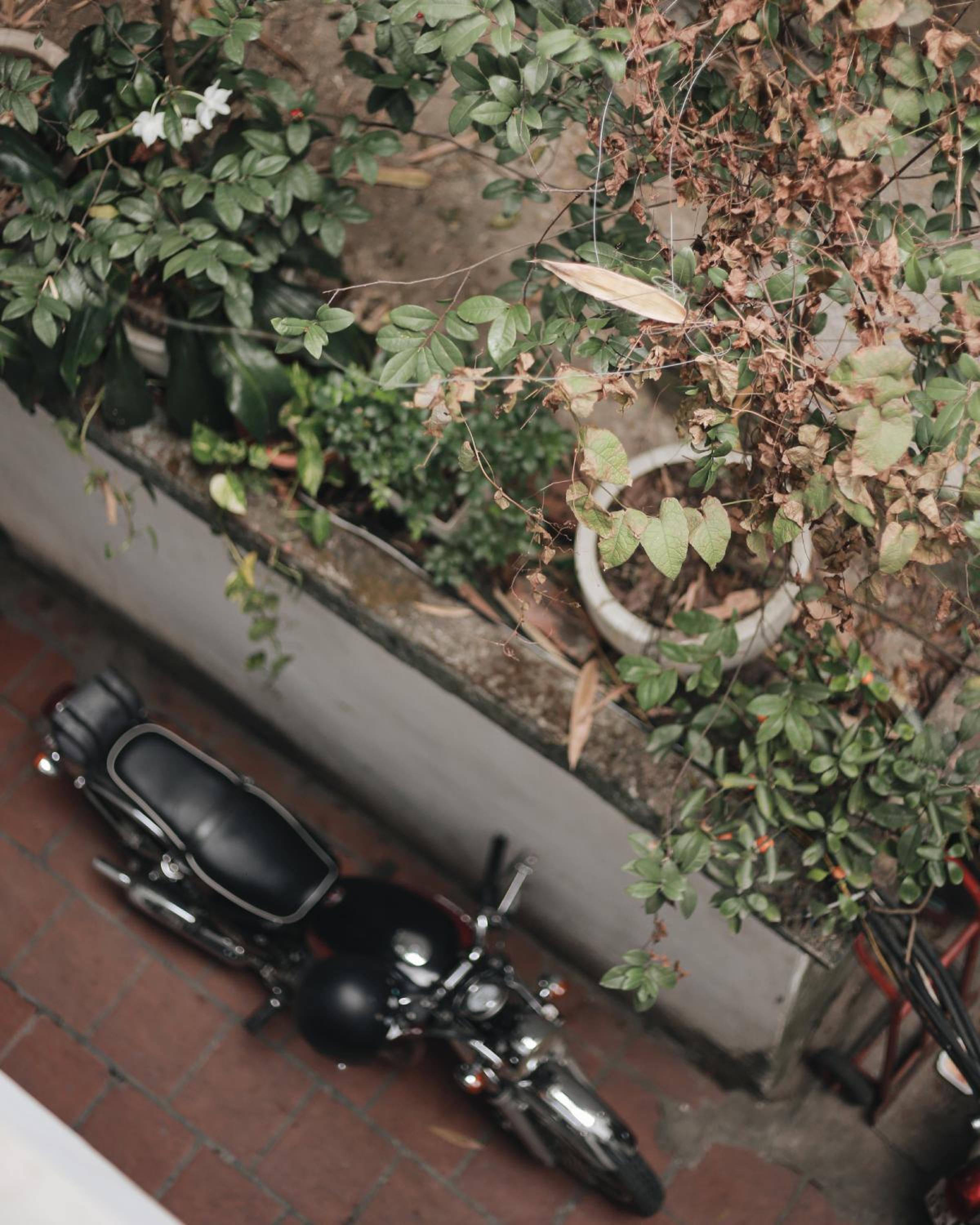 Hidden gem homestay 2