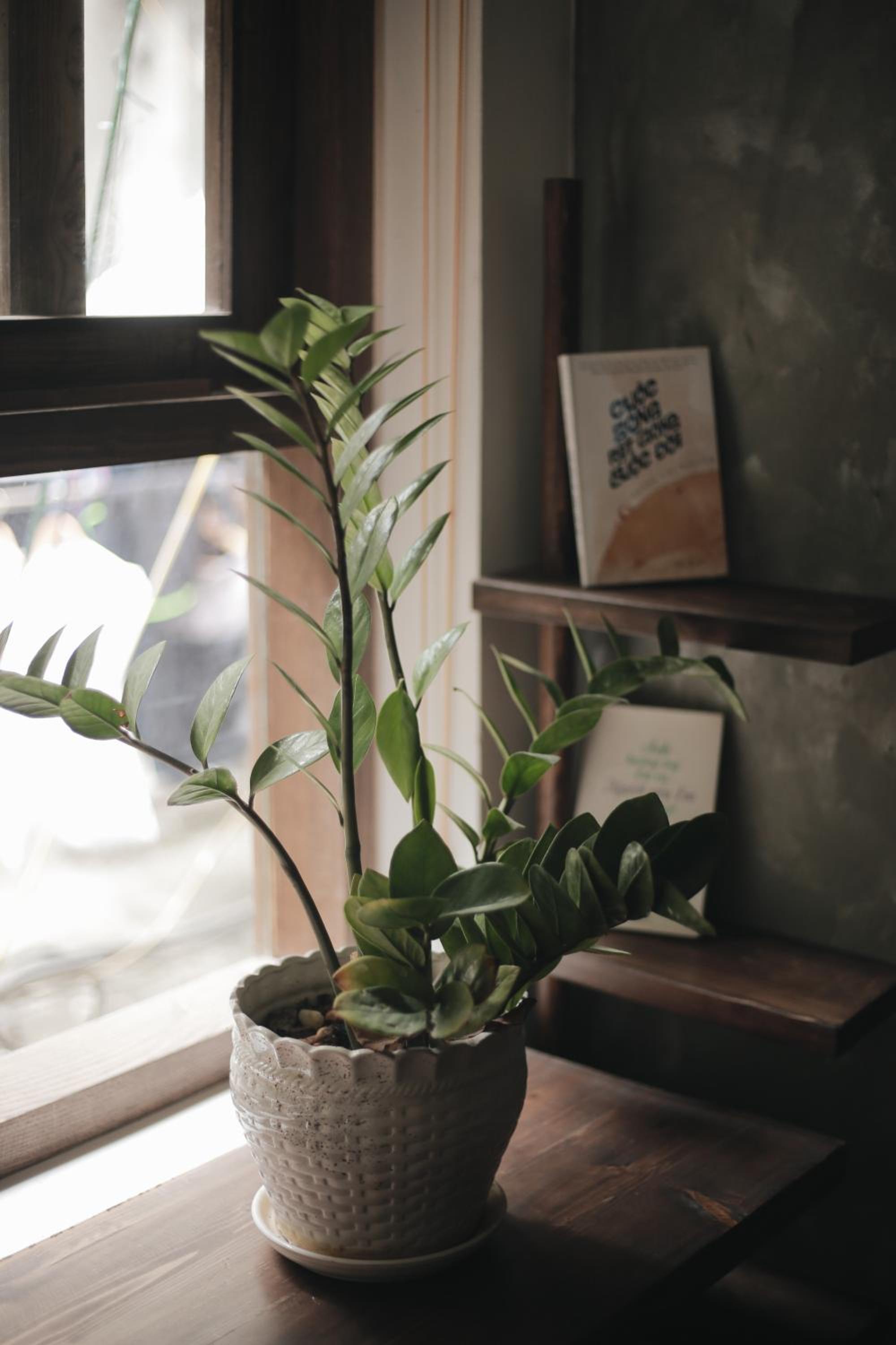 Hidden gem homestay 2