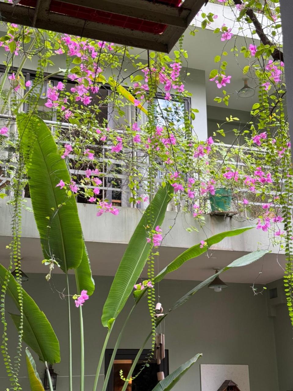 Hidden gem homestay 2