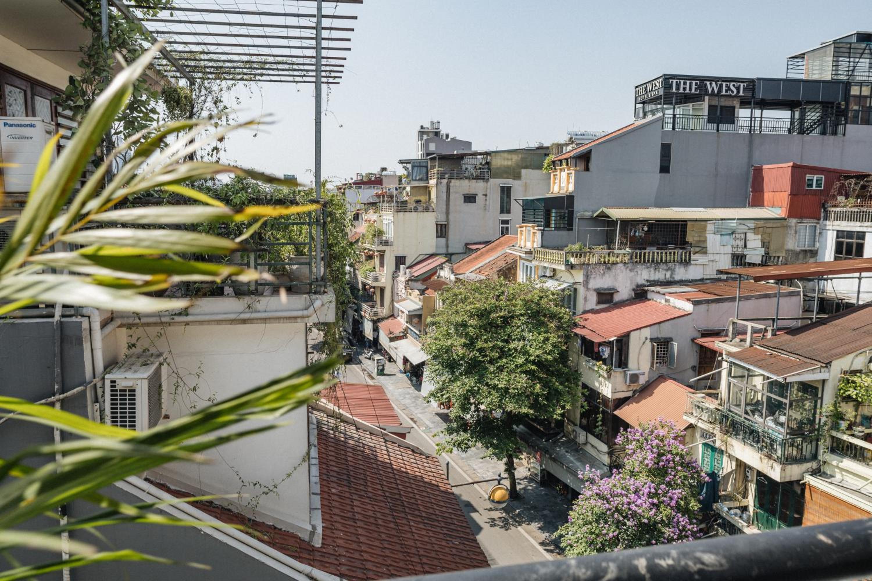 Hidden gem homestay 2