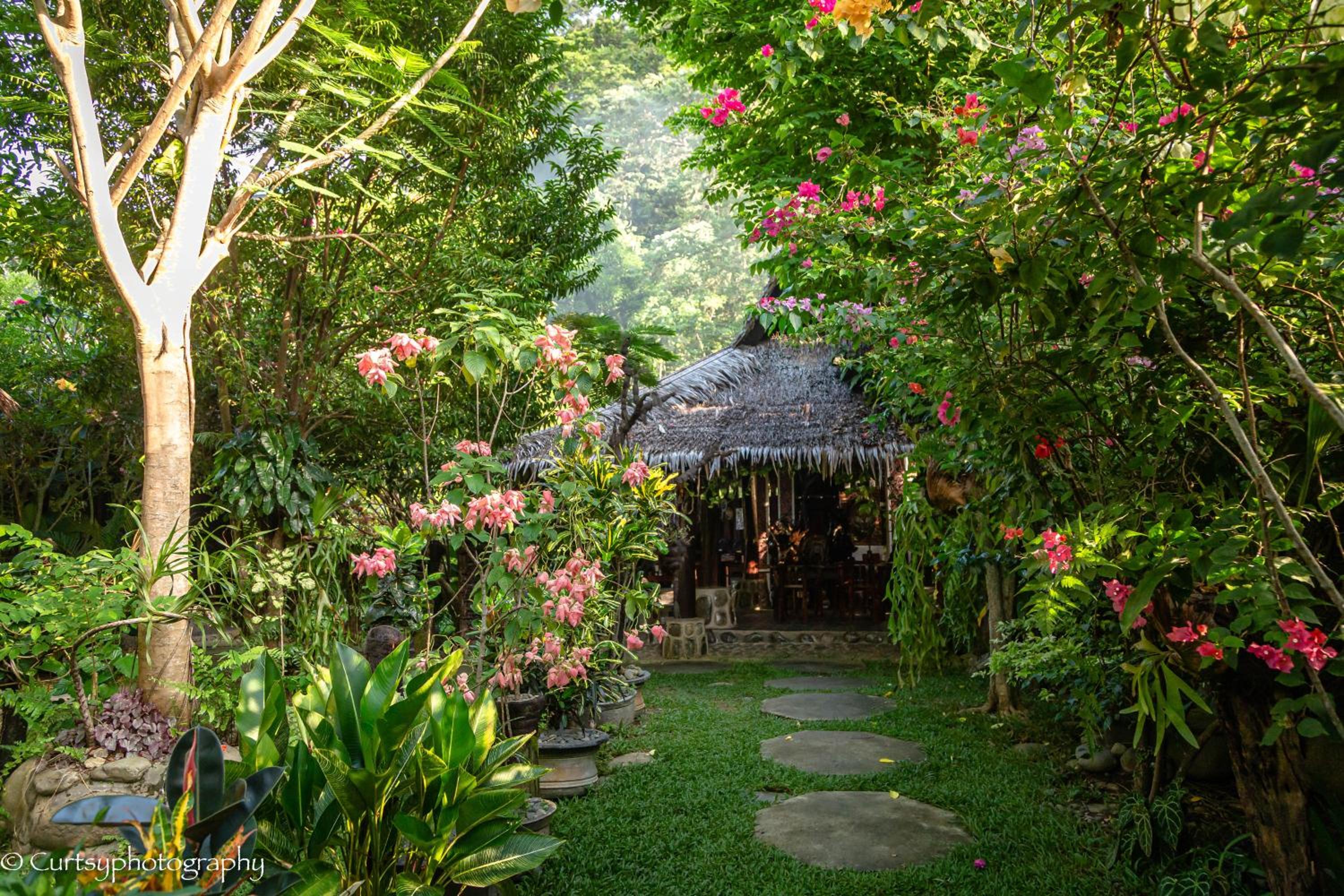 Green Travelodge Bukit Lawang view 5