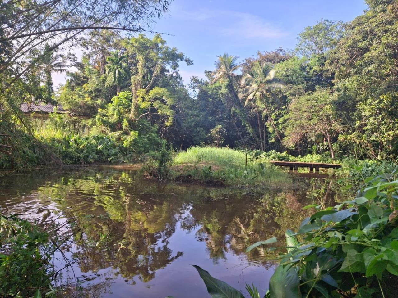Debaraliyadda Estate