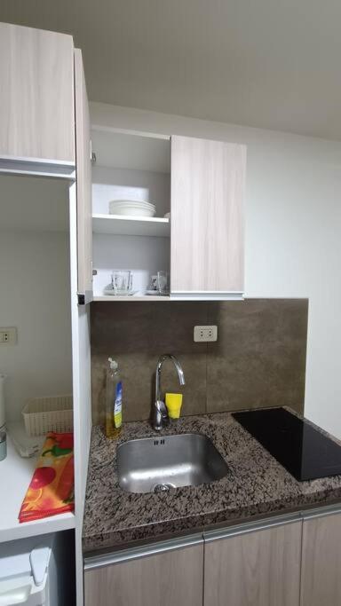 Acogedor Monoambiente