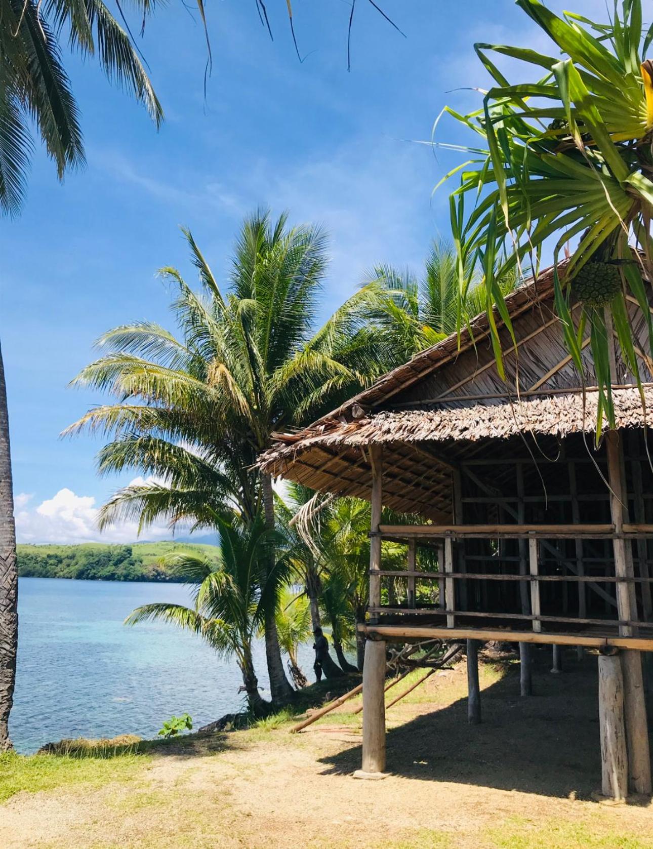 Jau Guest House view 3