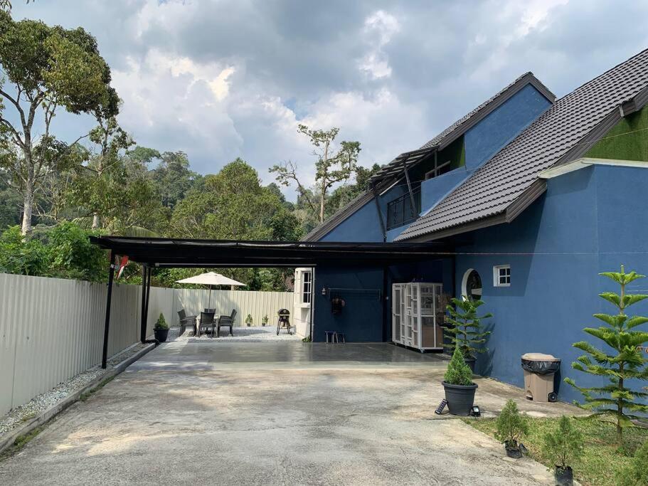 Bleu Maison Home view 5