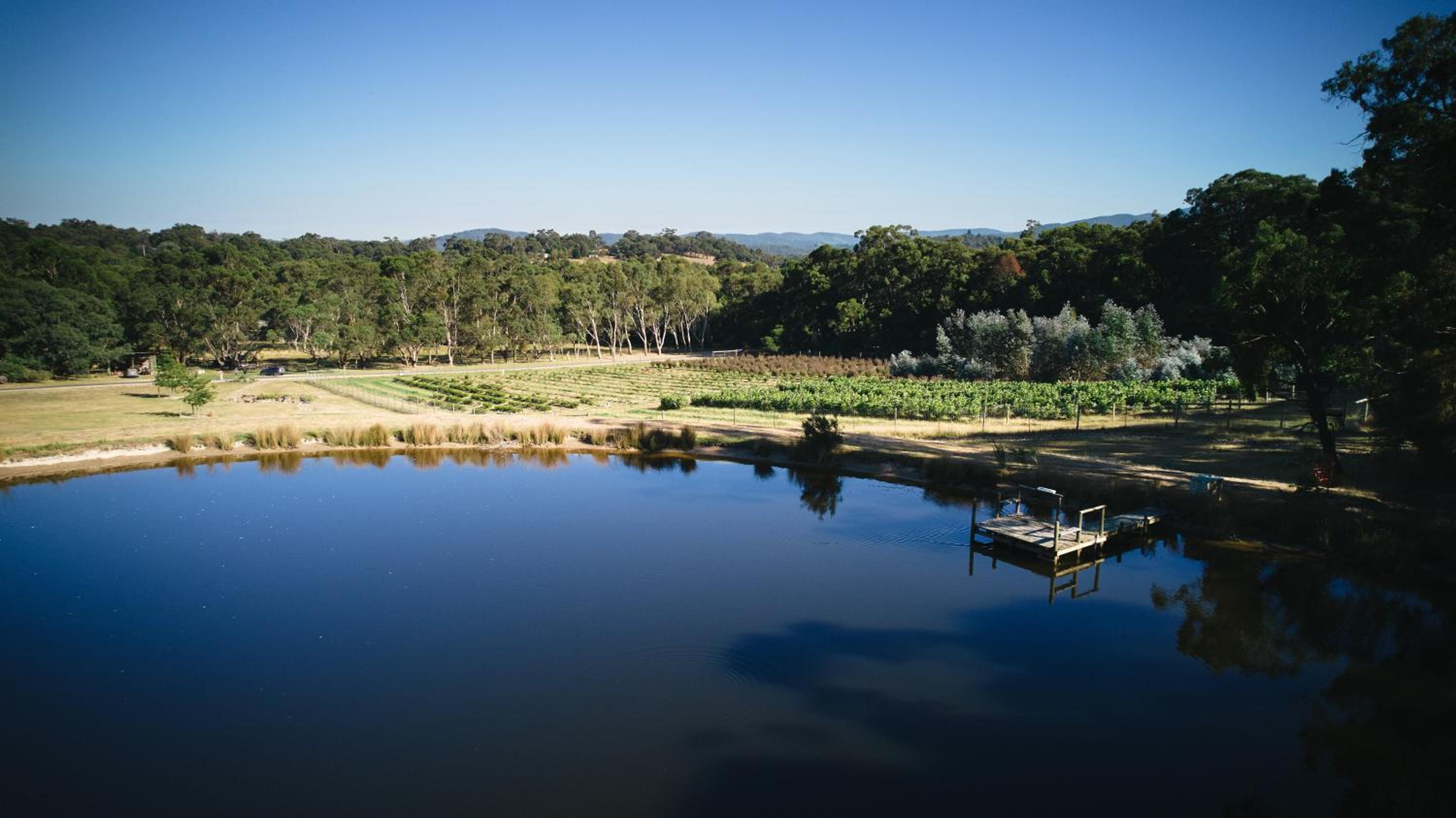 Yarradene Luxury Healesville Farmstay