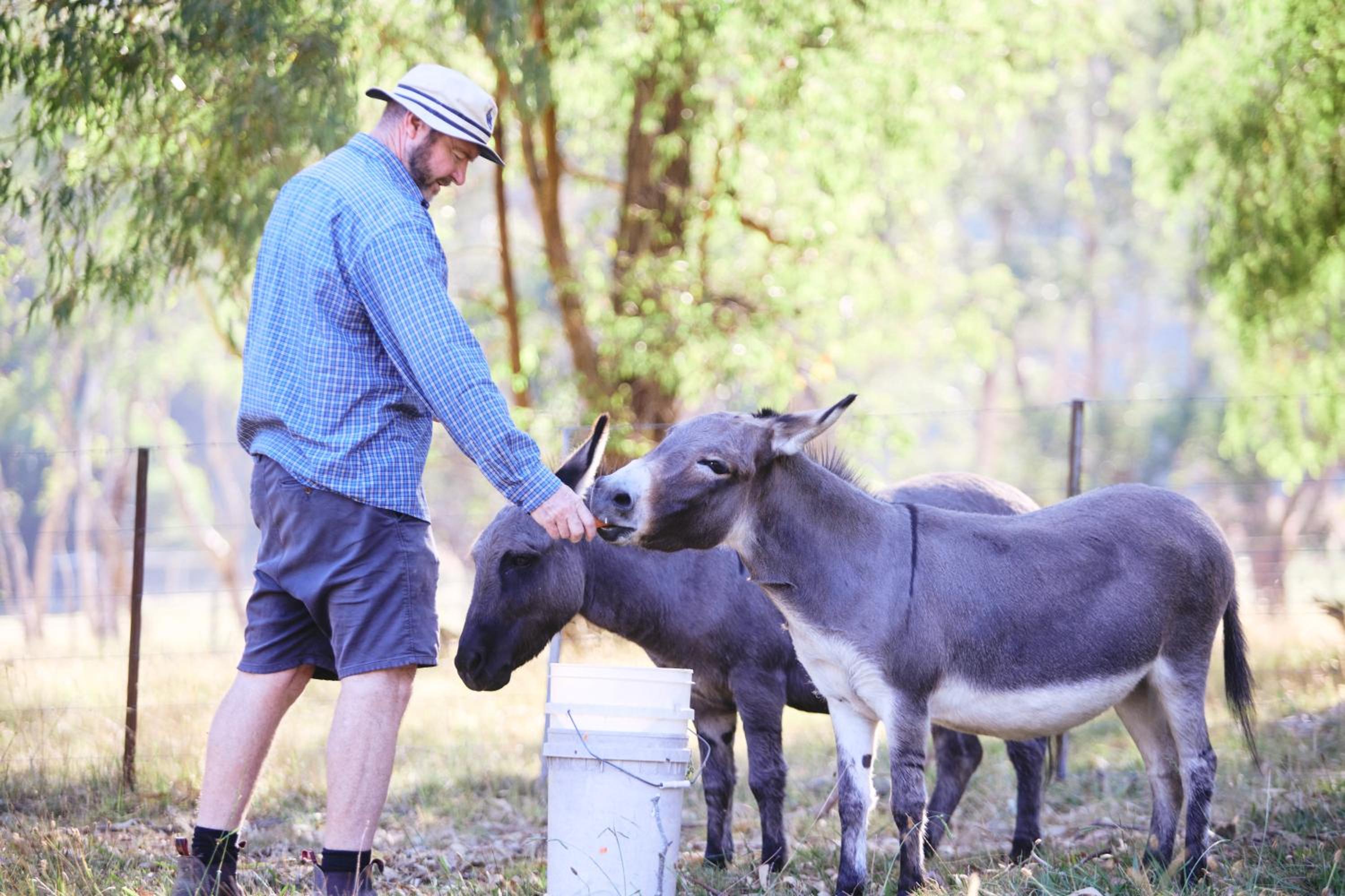 Yarradene Luxury Healesville Farmstay
