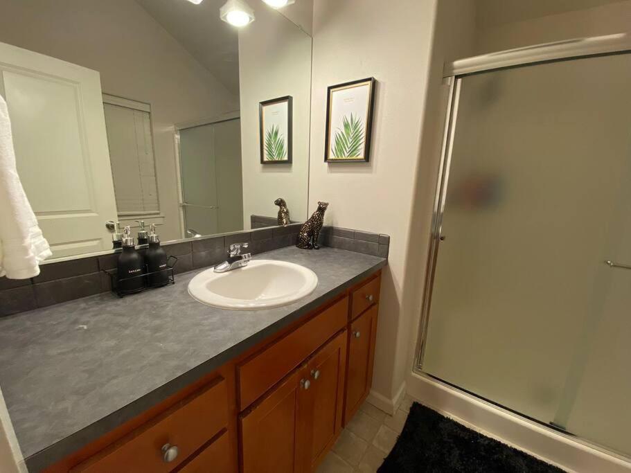 Cozy Two Bedrooms House in Beaverton view 2
