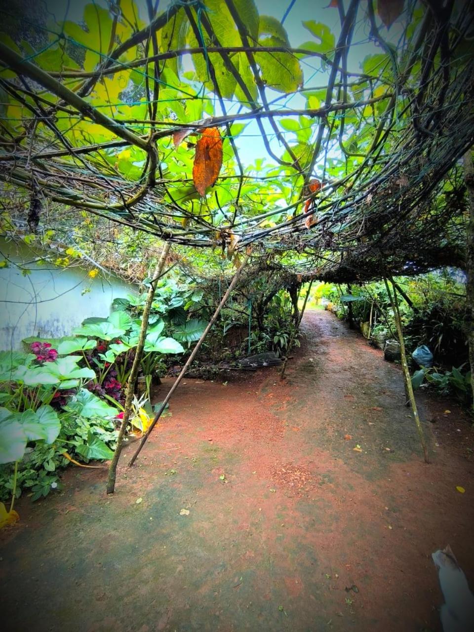 Private cottage idukki view 2