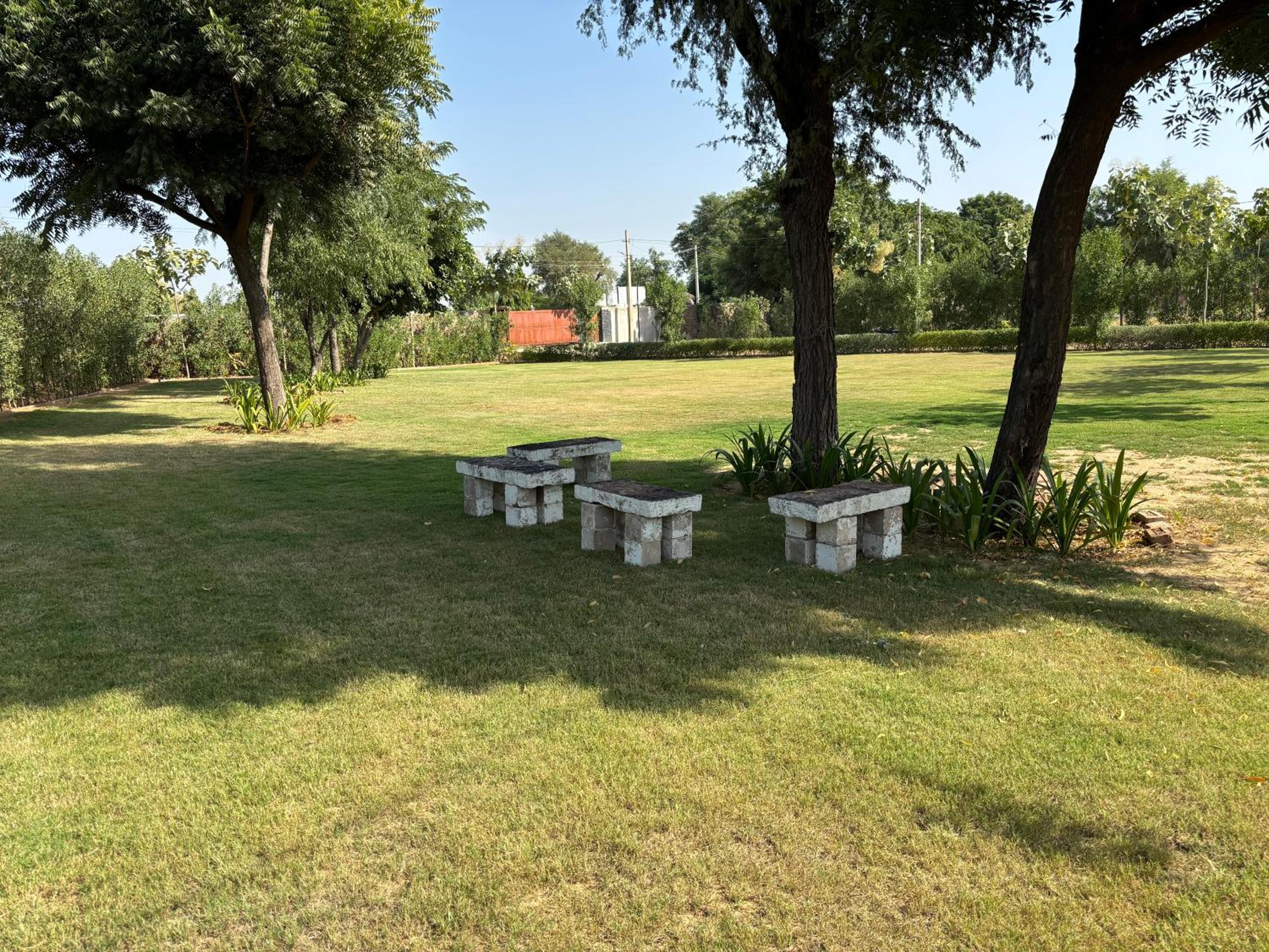 Photo 40