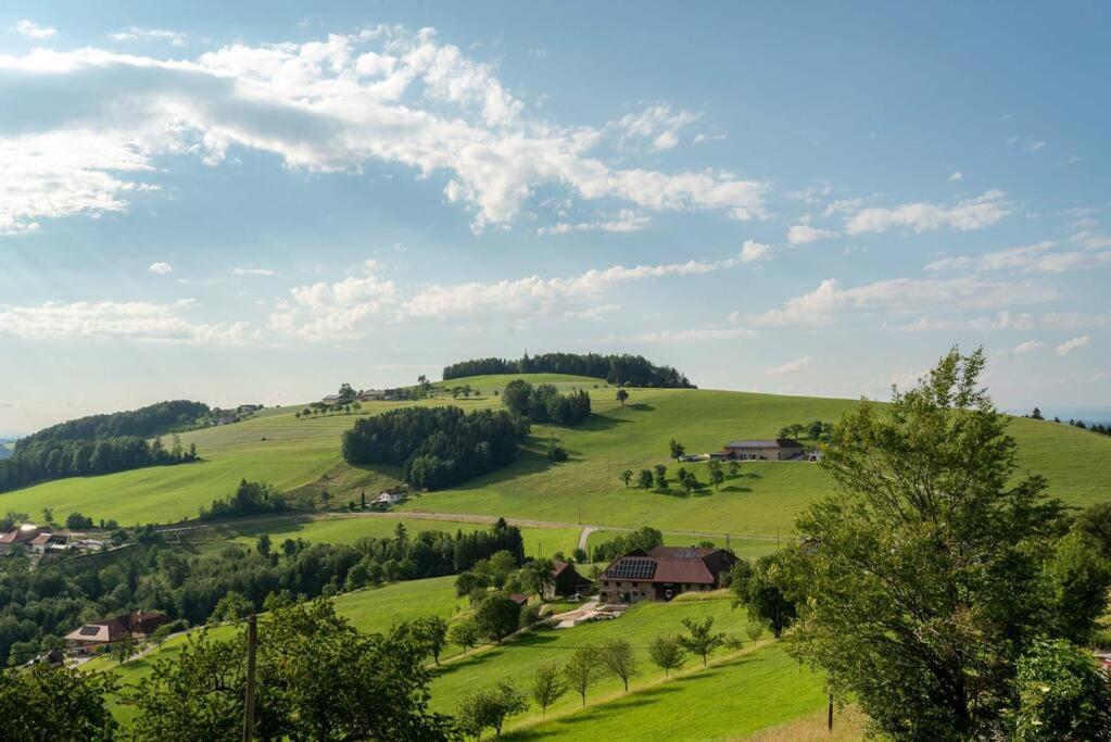 Kleines Haus mit Weitblick