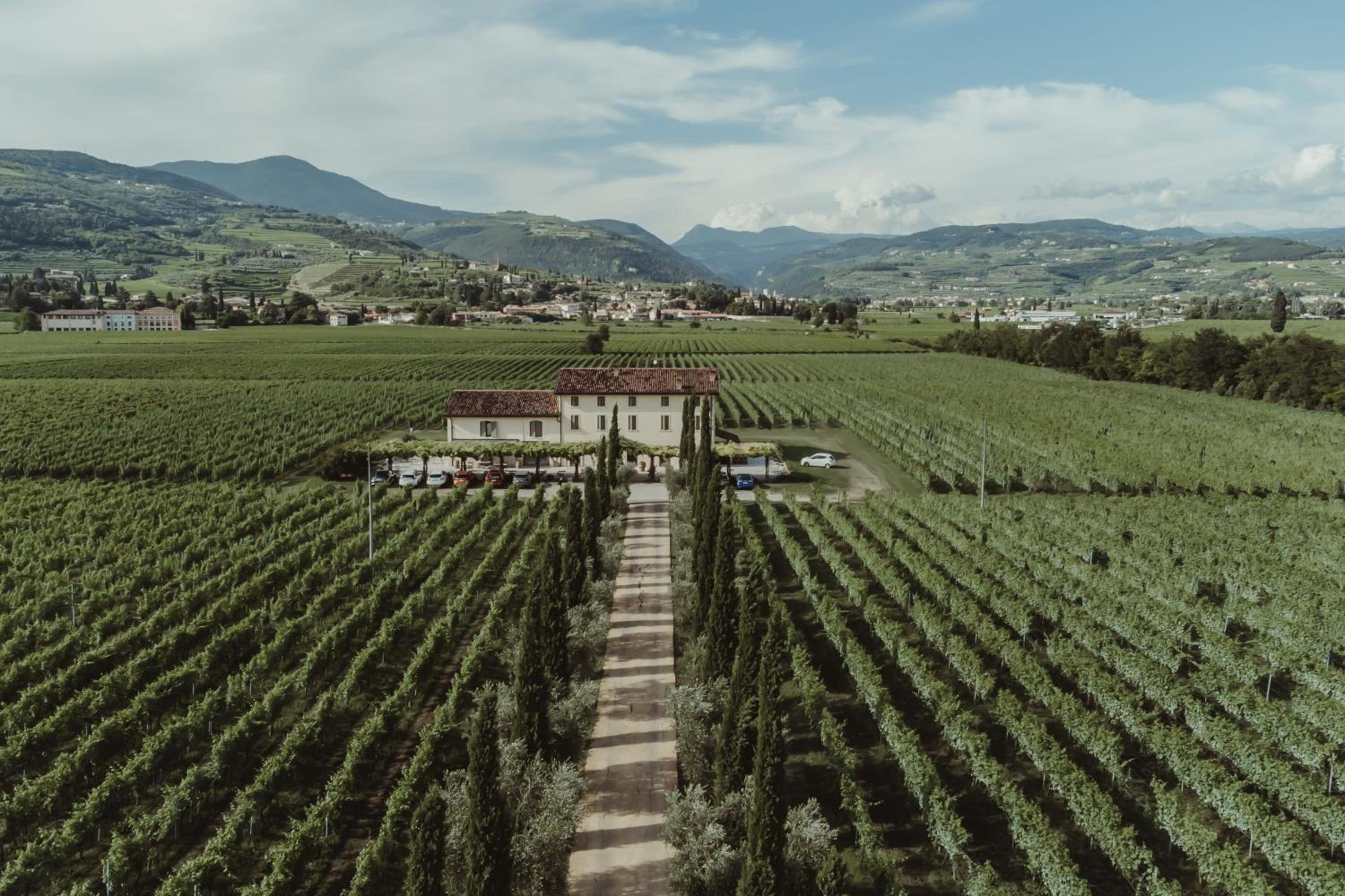 Dimora Buglioni Wine Relais, photo 5