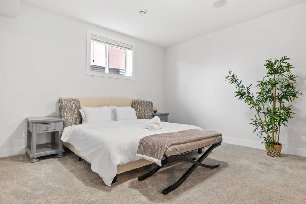 Bright & Cozy 2-Bedroom Basement Suite