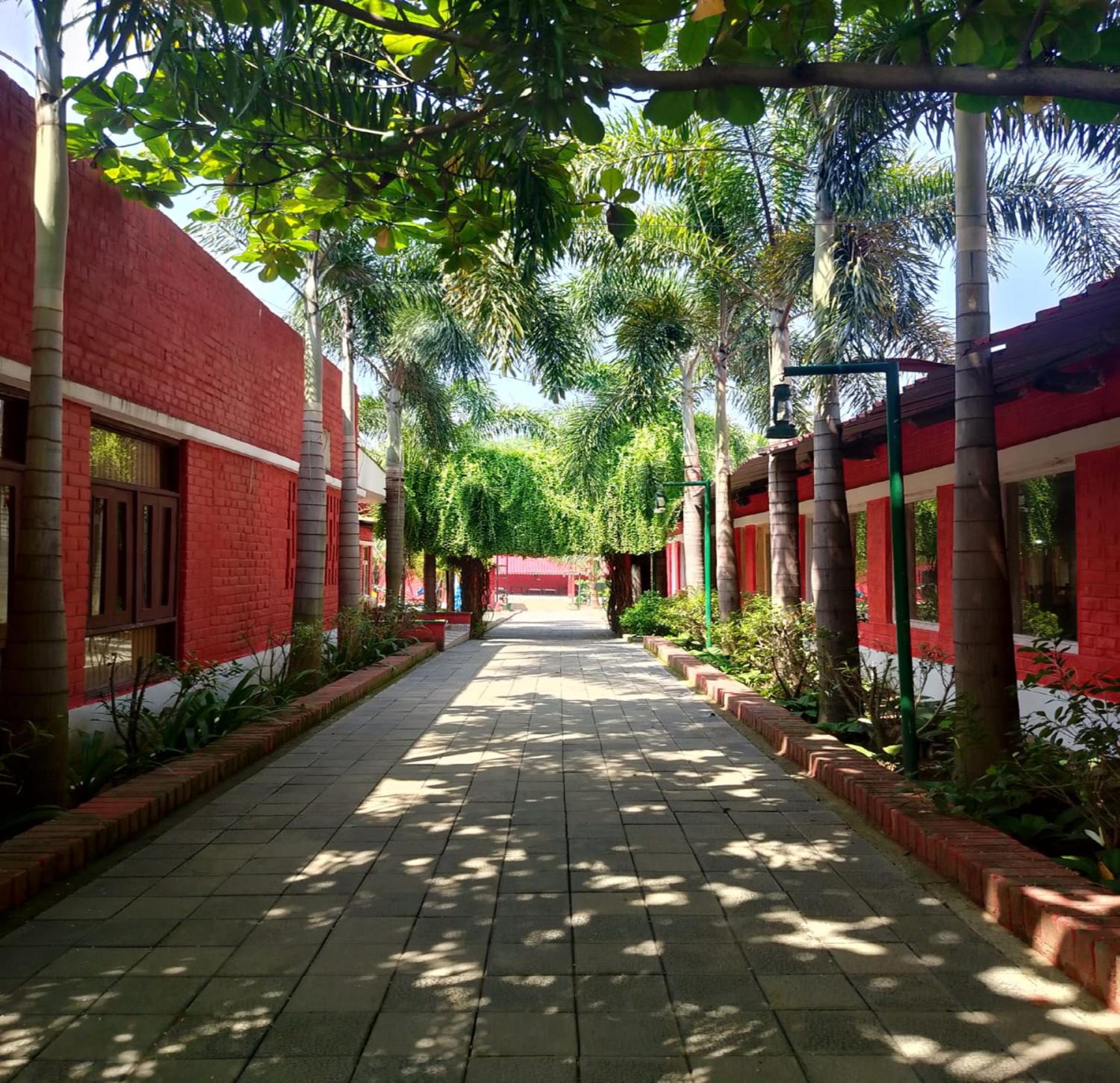 Photo 45