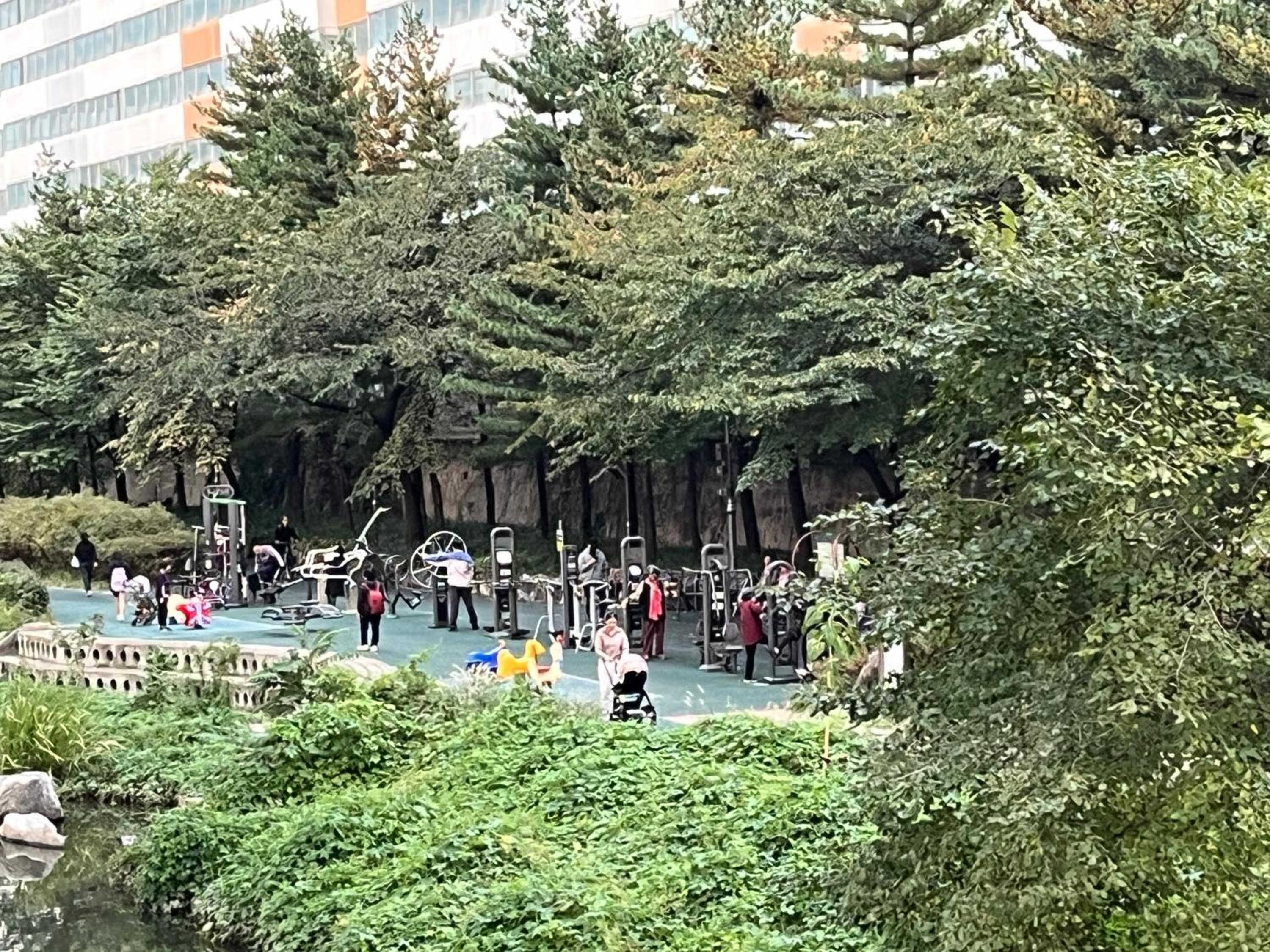 Bueno Day - between Hongdae & Palace Gyeongbokgung 외국인도시민박업 한국인예약금지 view 4