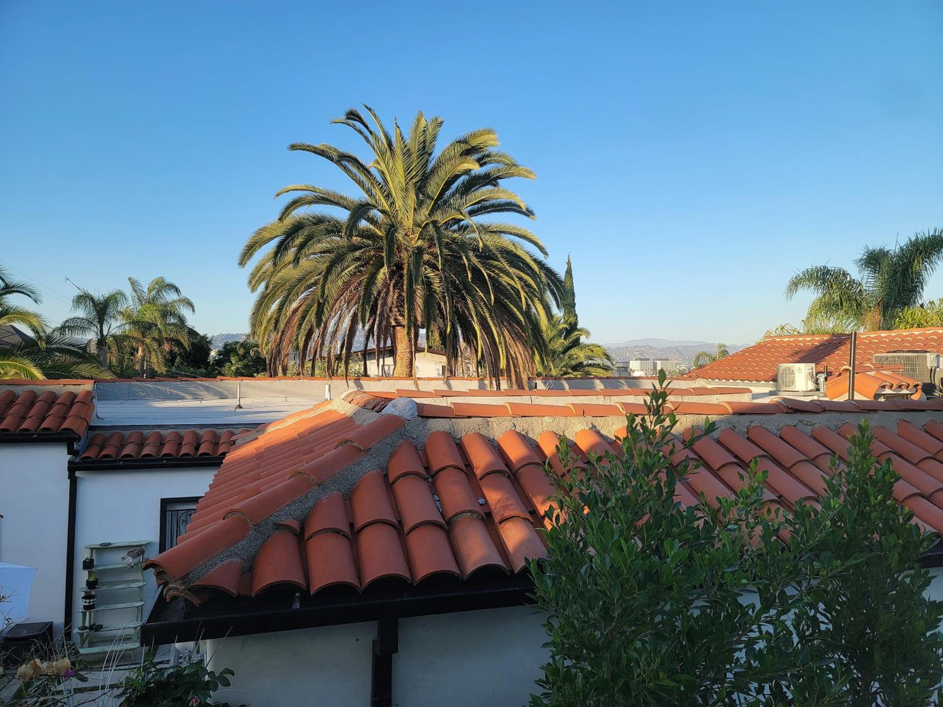 roof