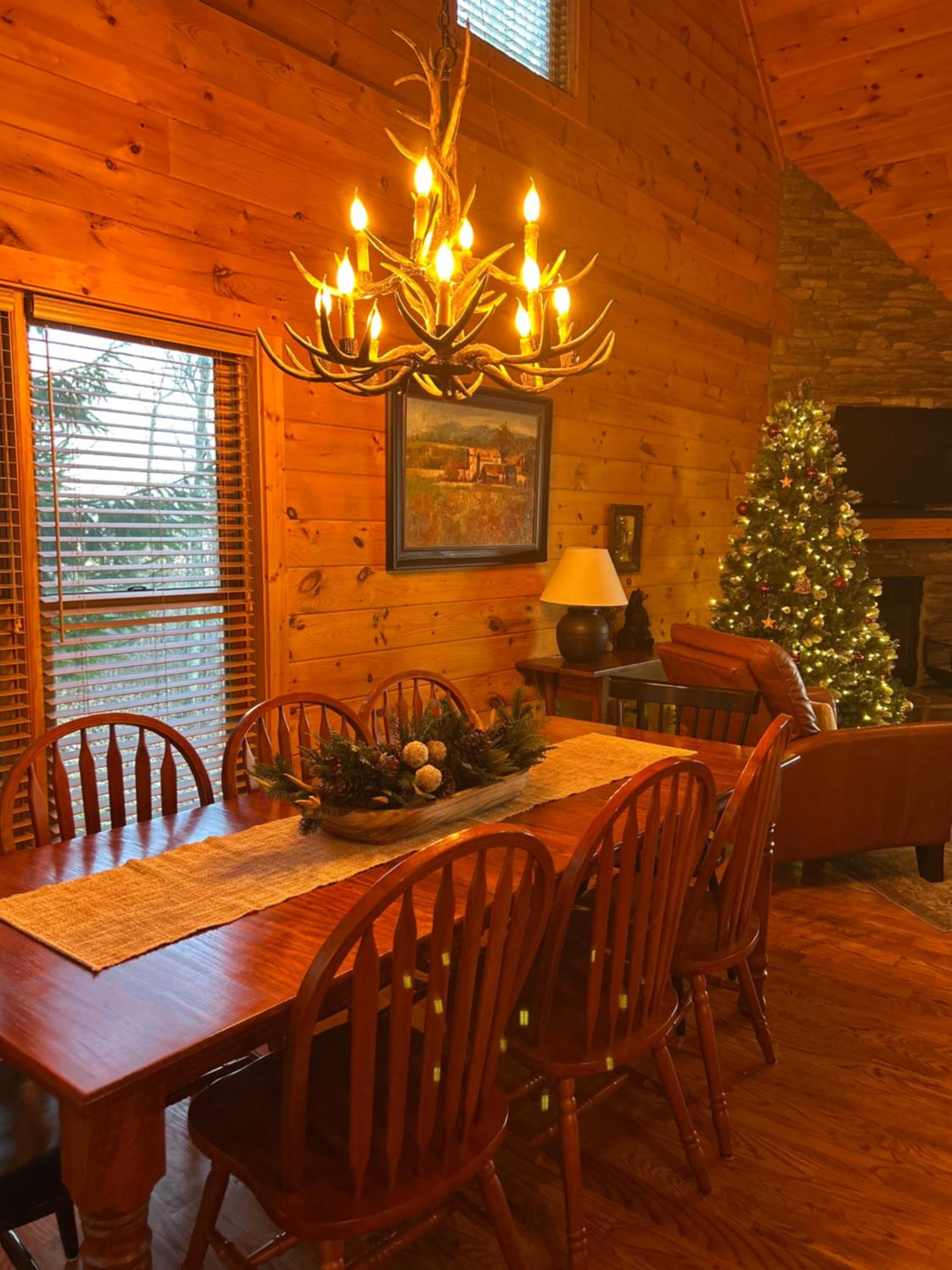 Cabin with amazing long-range mountain views, hot tub, fire pit, EV connection view 3