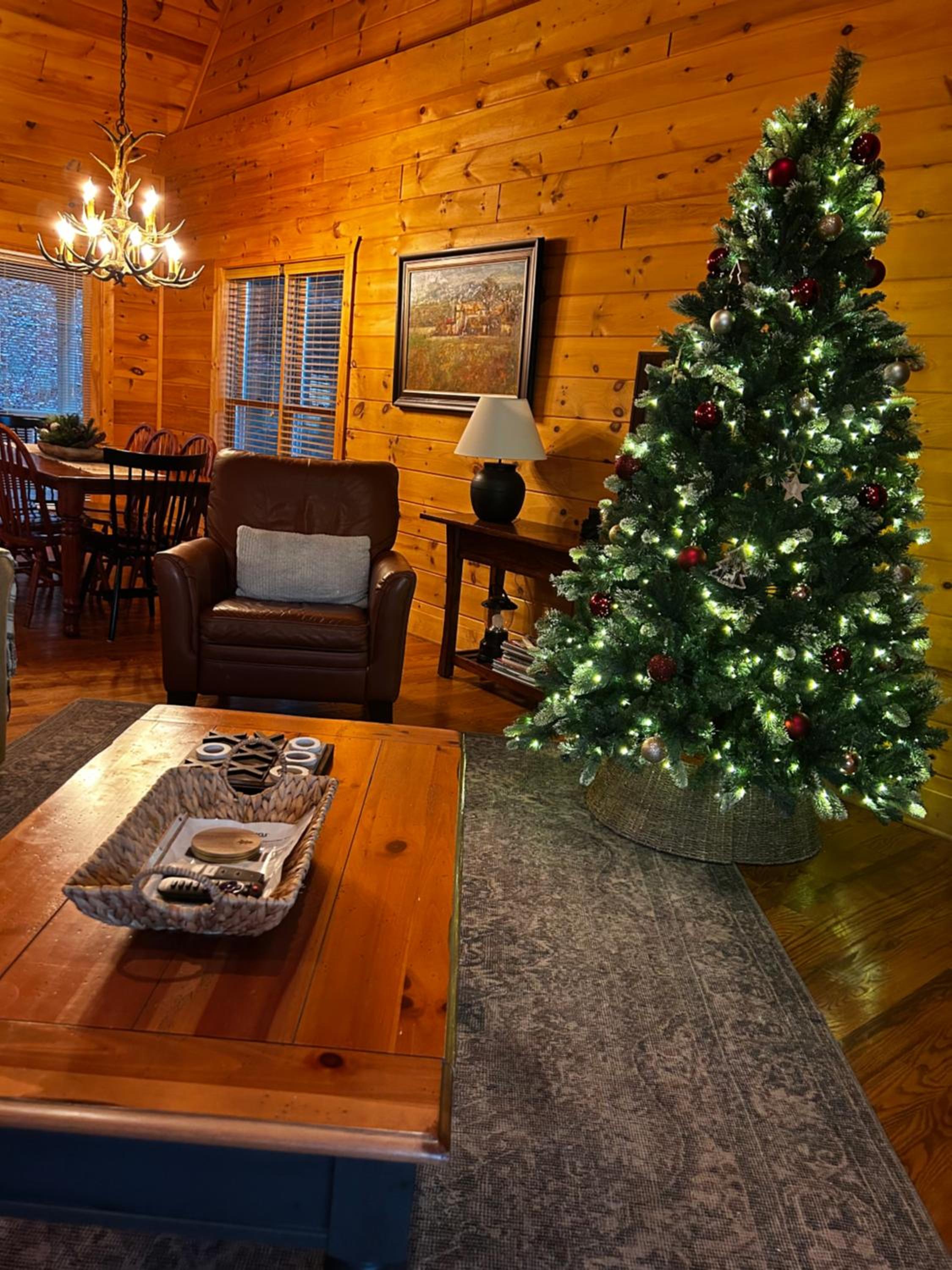 Cabin with amazing long-range mountain views, hot tub, fire pit, EV connection view 4