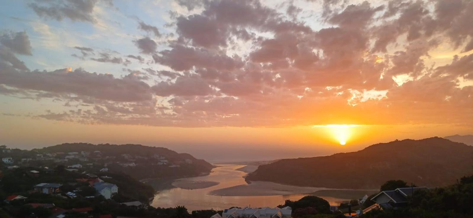 Cormorants' Cove view 5