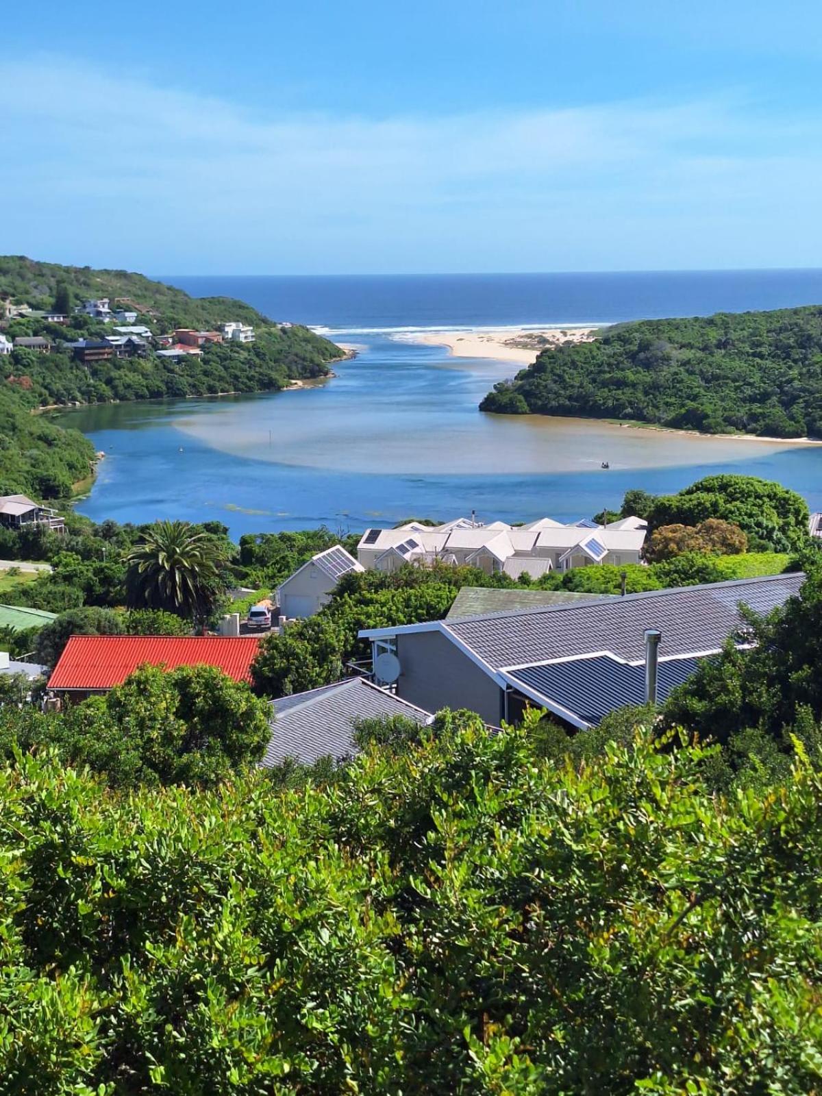 Cormorants' Cove view 4