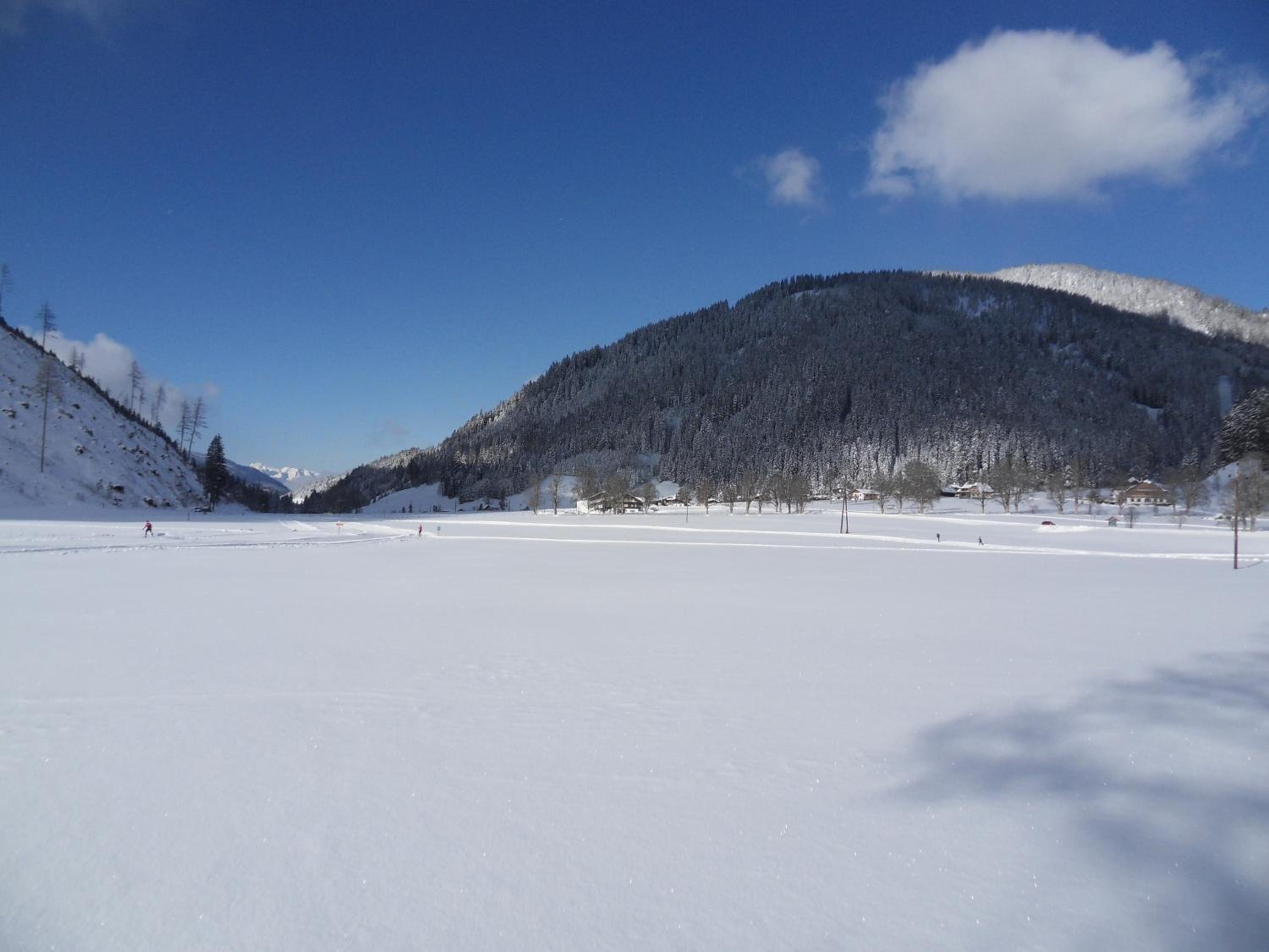 Photo 48