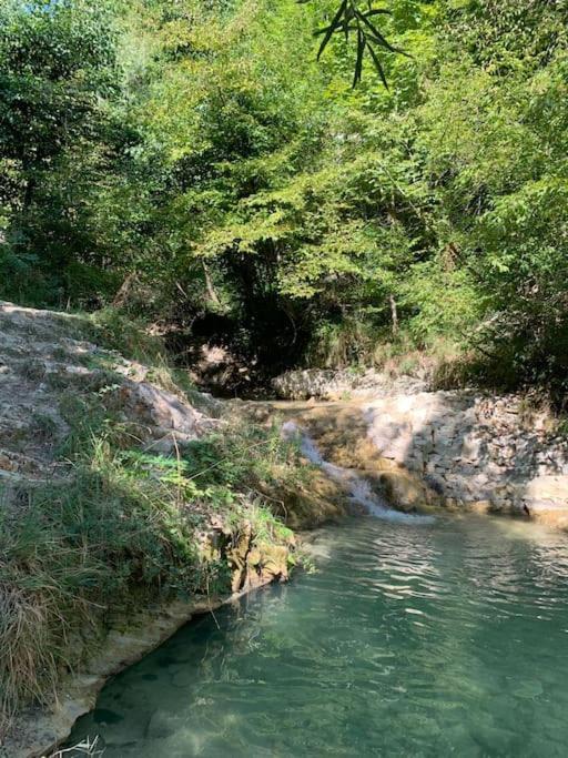 La Mirella