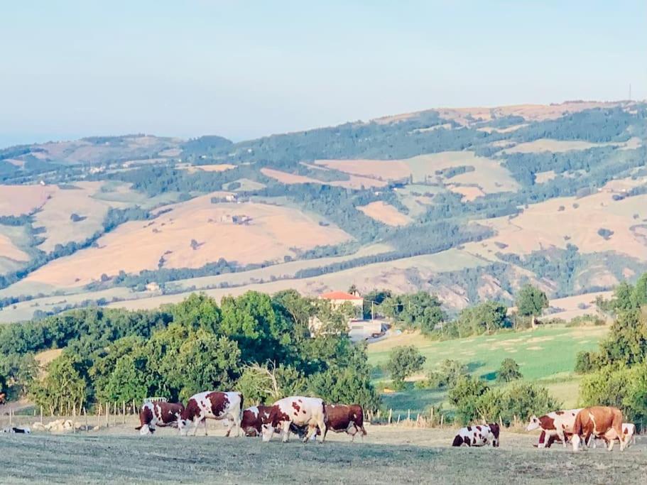 La Mirella