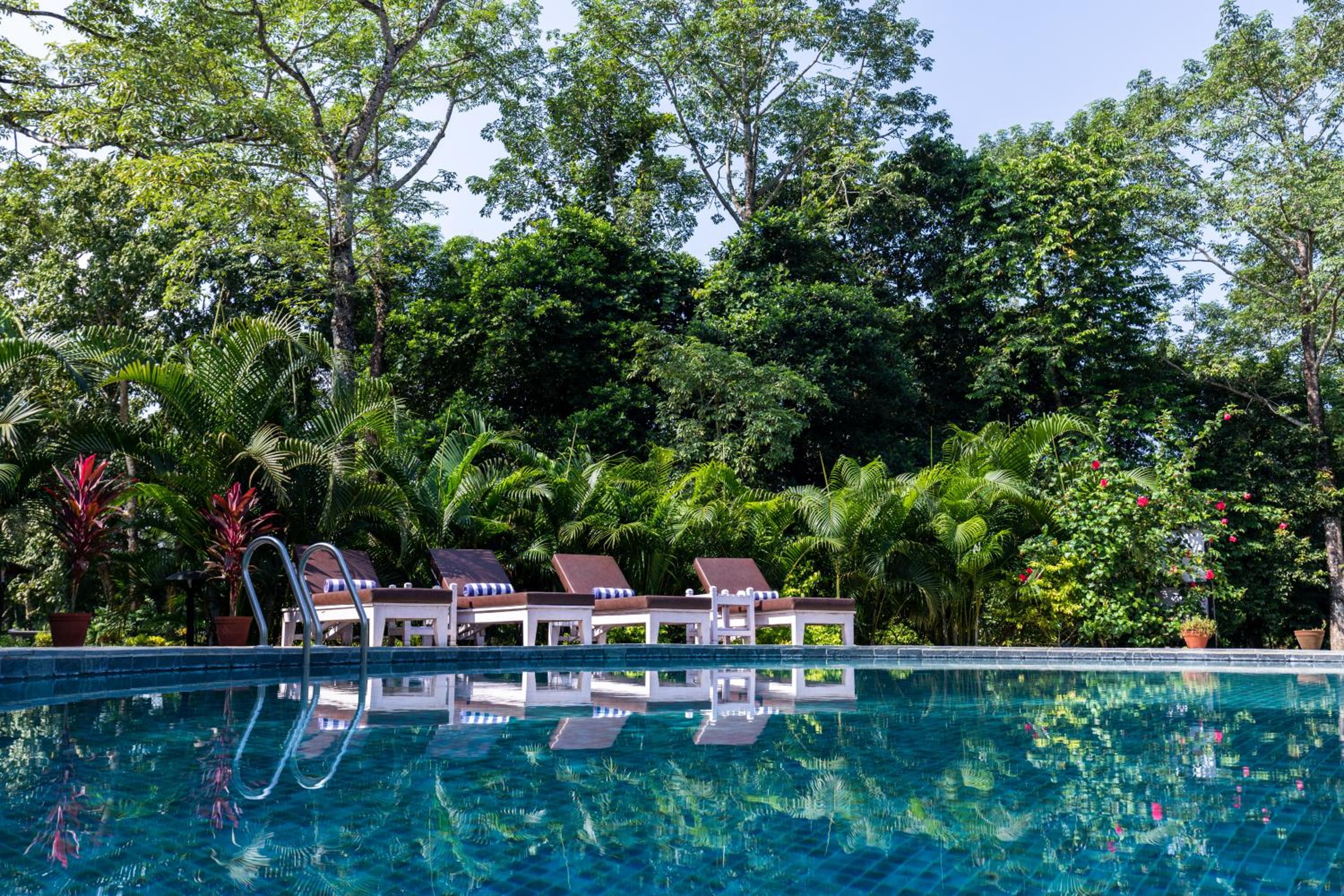 Banbas Resort, Chitwan view 5