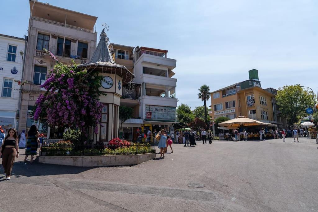 Designed and Modern 2BR Flat In Center Of Buyukada view 3
