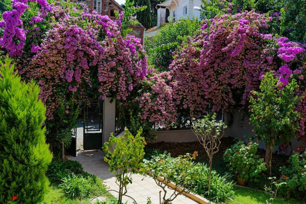 Designed and Modern 2BR Flat In Center Of Buyukada view 4