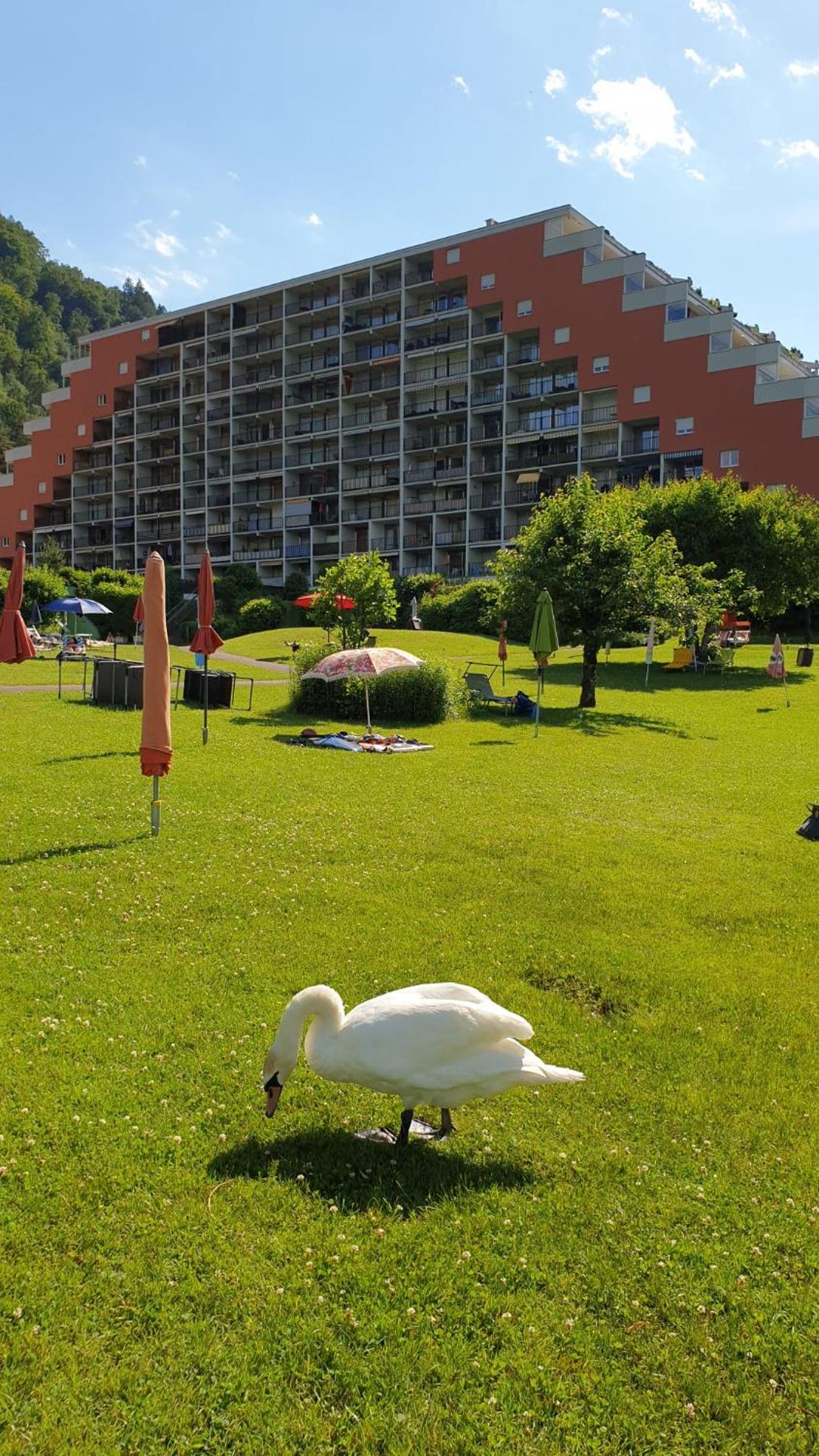LB5 Seeappartement Haus Landskron mit direktem Seezugang am Ossiachersee