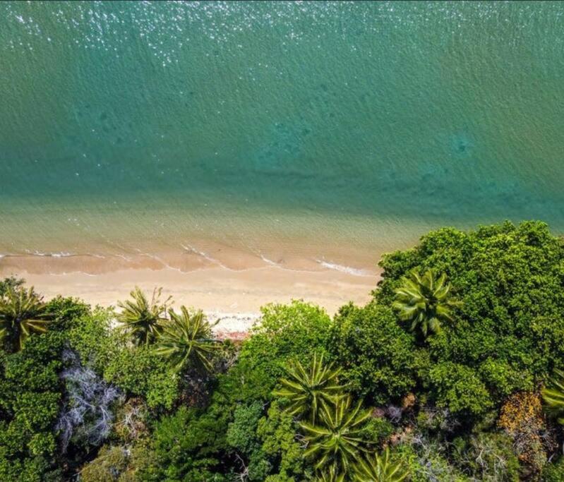 Absolute Beachfront WongaBelle- Pet Friendly