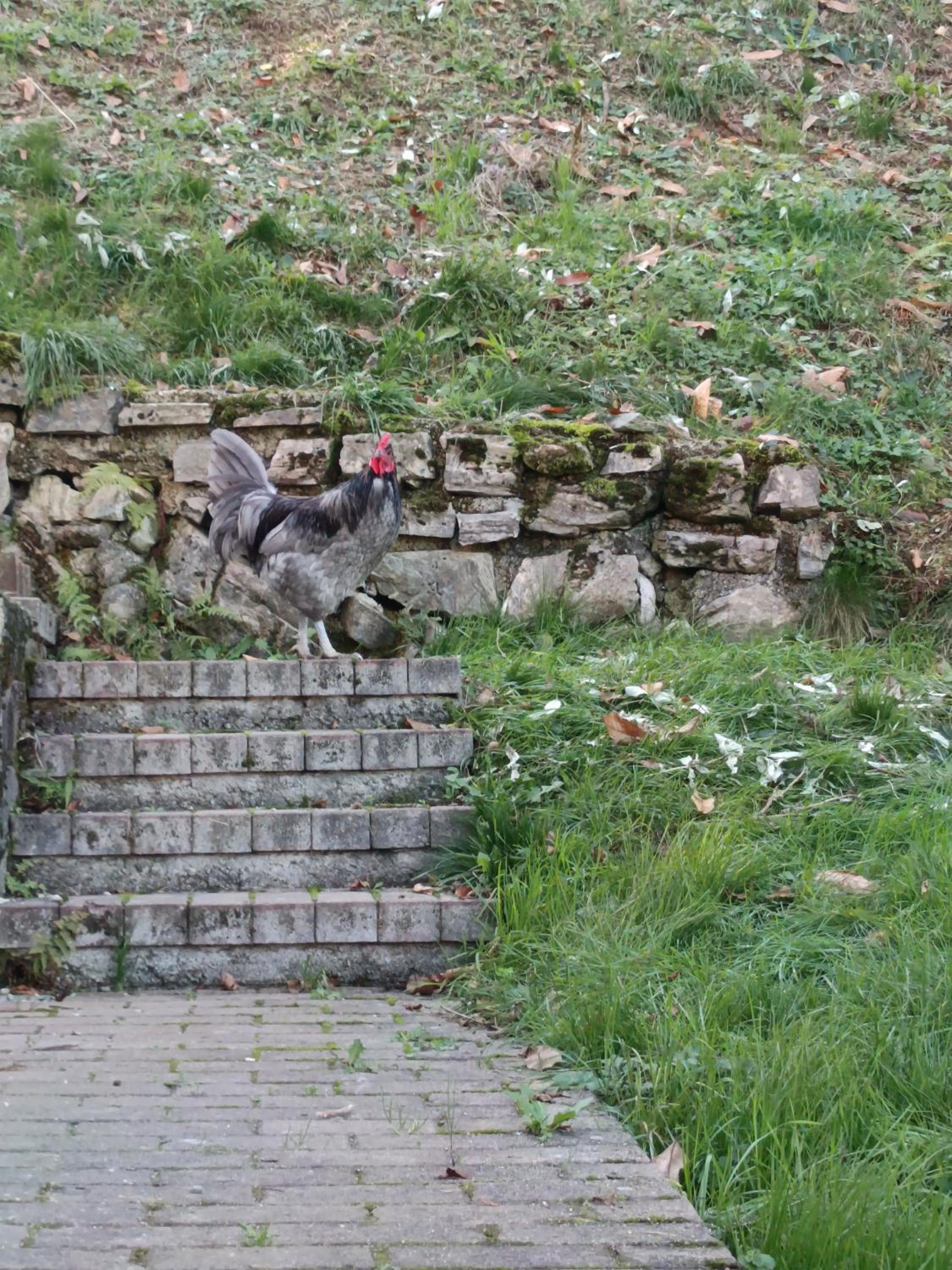 Photo 22