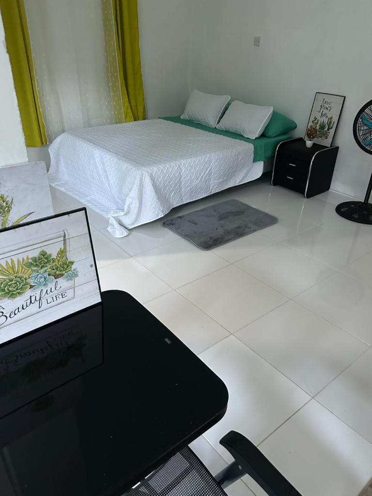 Iguana Apartments