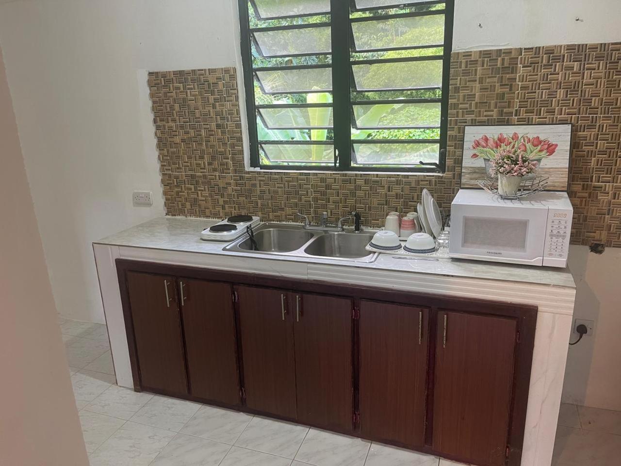Iguana Apartments