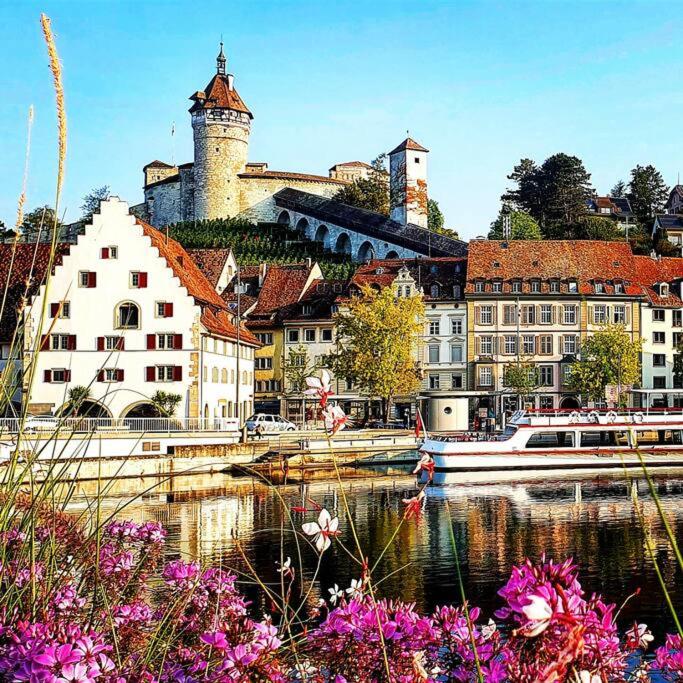 Apartment Südwind - Beautiful premium apartment with 1 bedroom near Rhine Falls & Zurich Airport in Klettgau