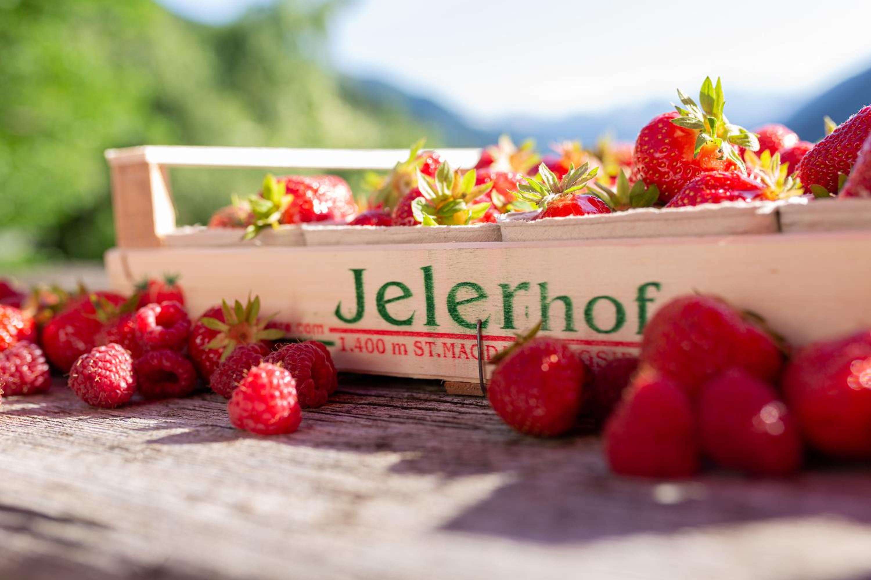 Jelerhof