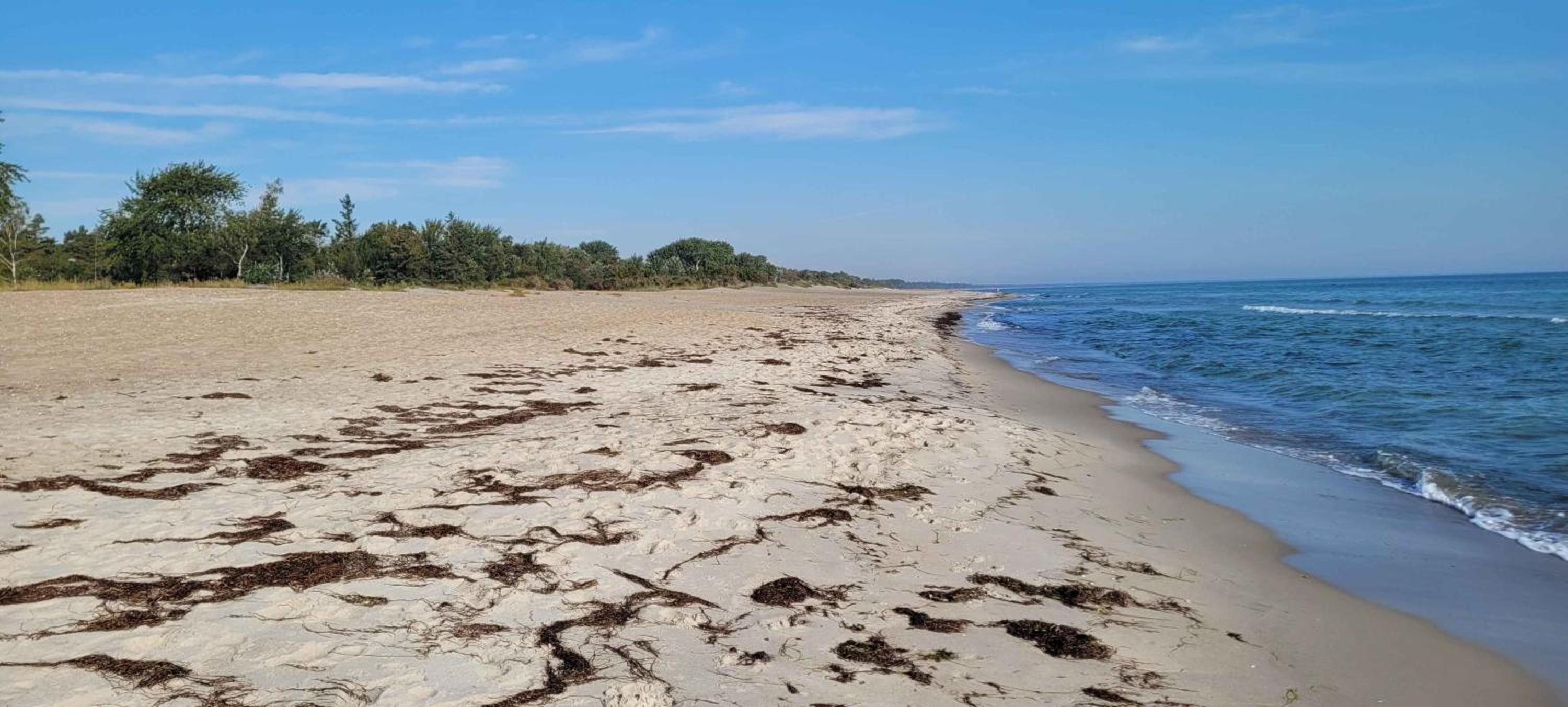 Charming Cottage In Second Row Near Lovely Beach