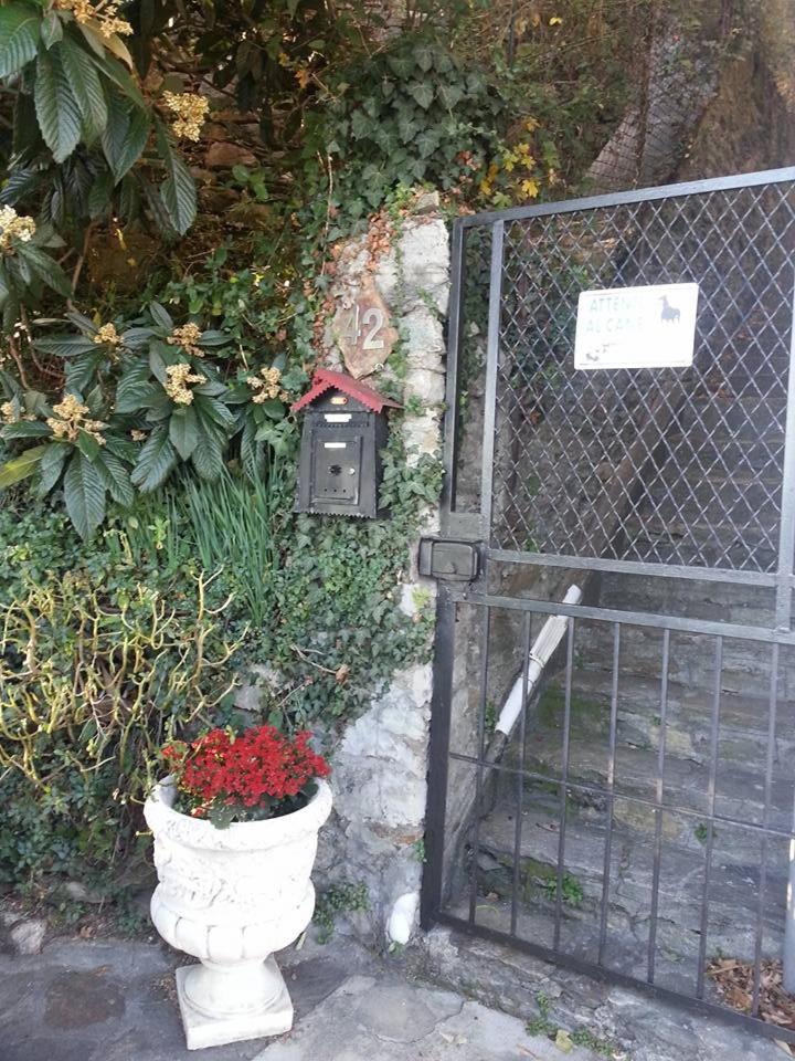 Photo 26