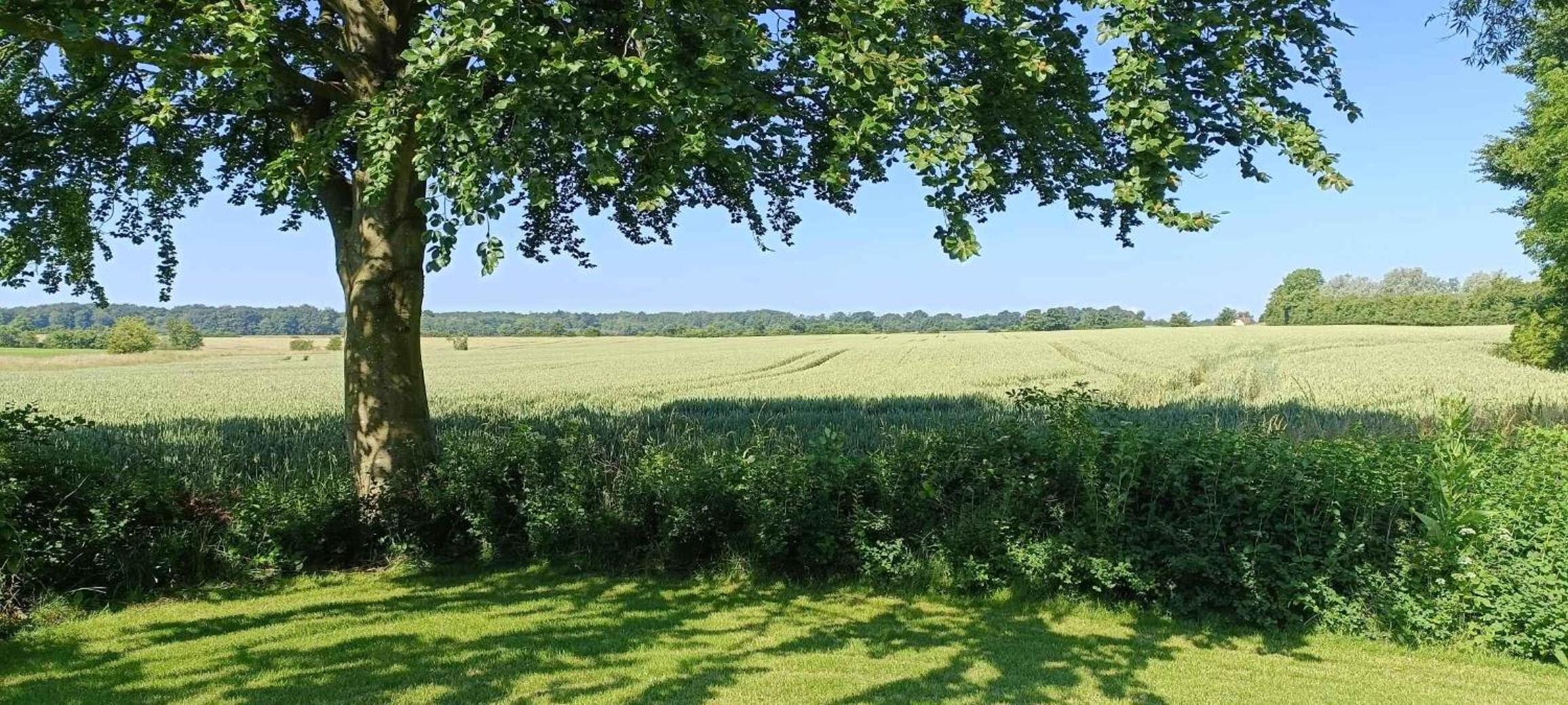 Stay Comfortably In Scenic Surroundings