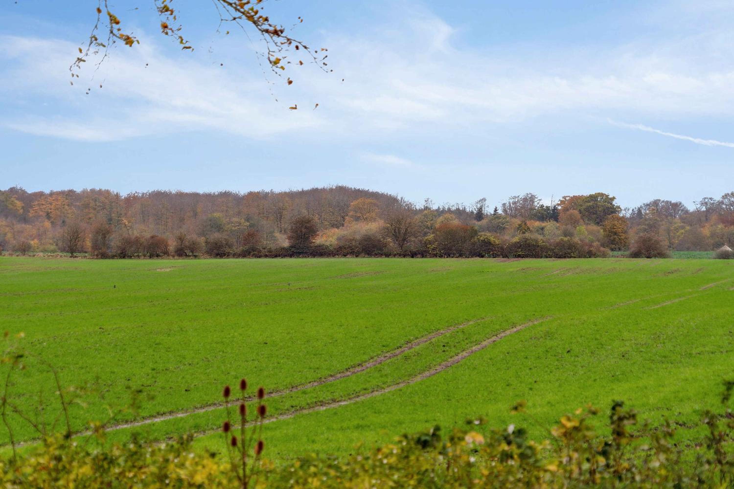Stay Comfortably In Scenic Surroundings