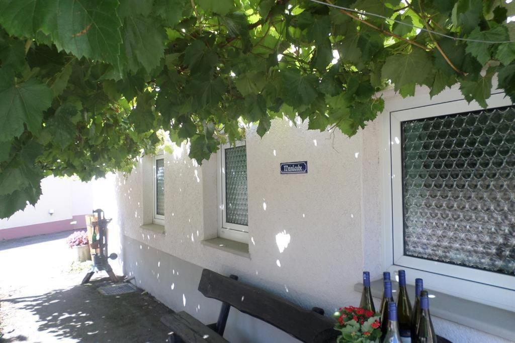 Weingut-Ferienwohnung Jungblut - nur Urlaubsgäste