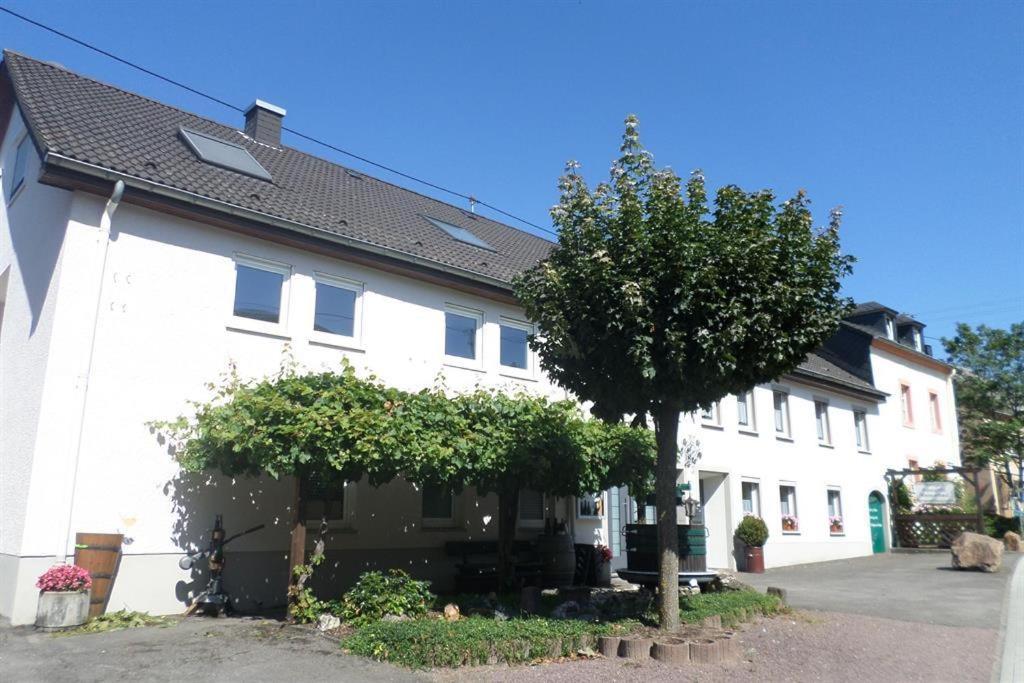 Weingut-Ferienwohnung Jungblut - nur Urlaubsgäste